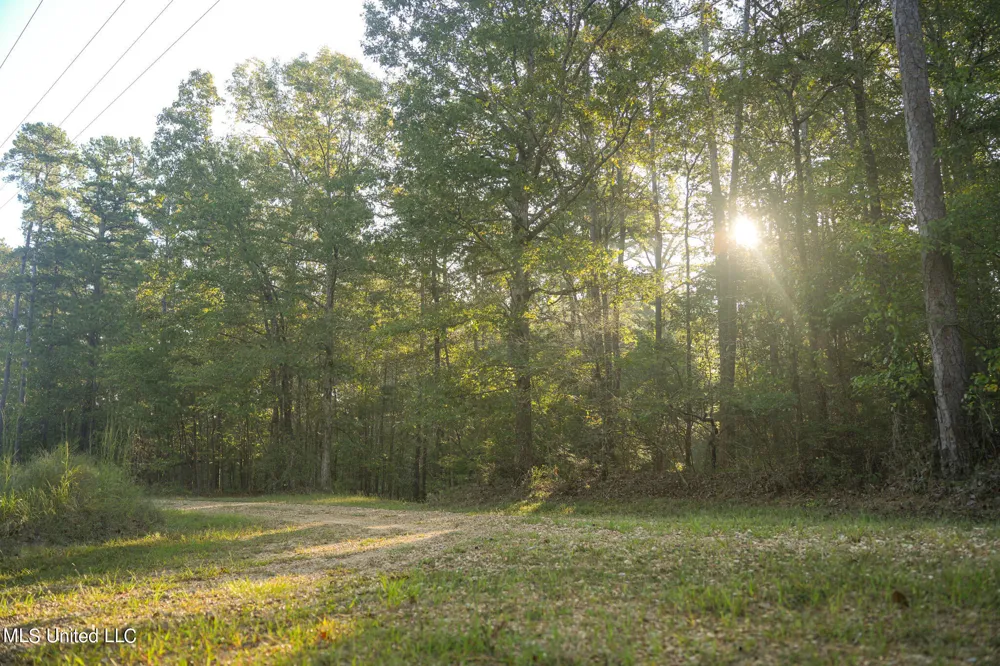 250 Rockwood Road Florence, MS 39073