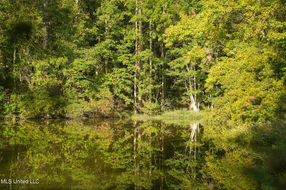 250 Rockwood Road Florence, MS 39073