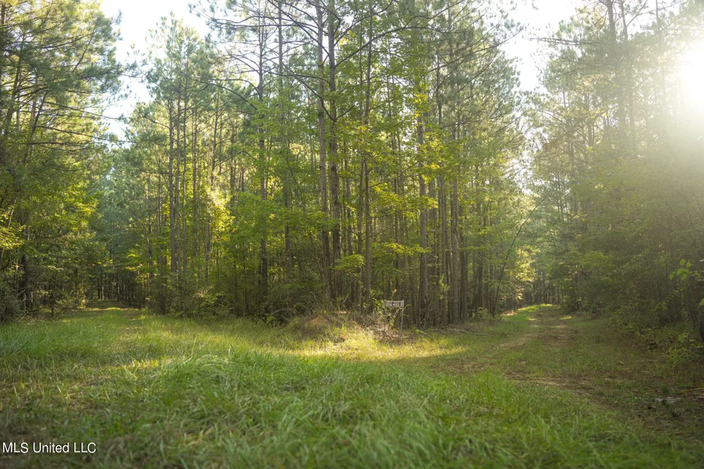 250 Rockwood Road Florence, MS 39073