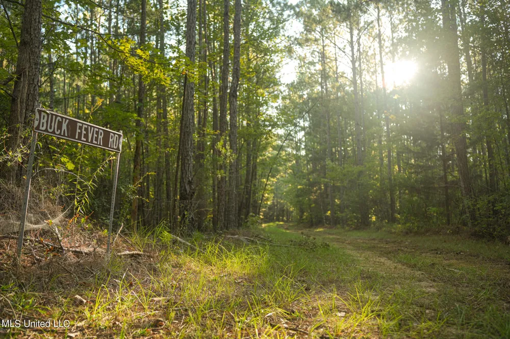 250 Rockwood Road Florence, MS 39073