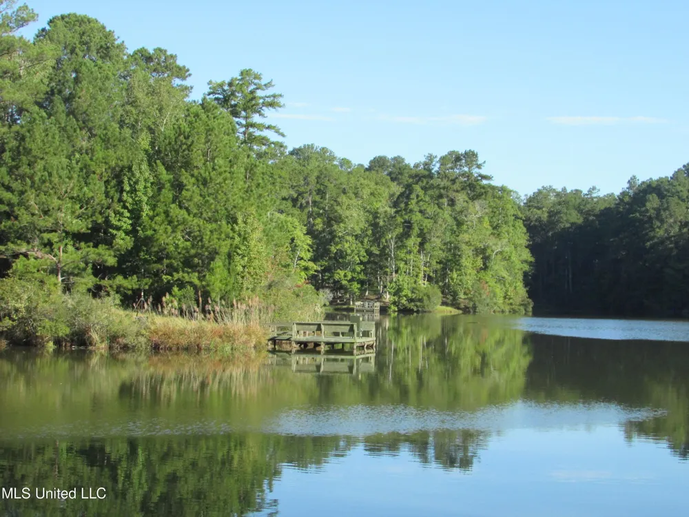 250 Rockwood Road Florence, MS 39073