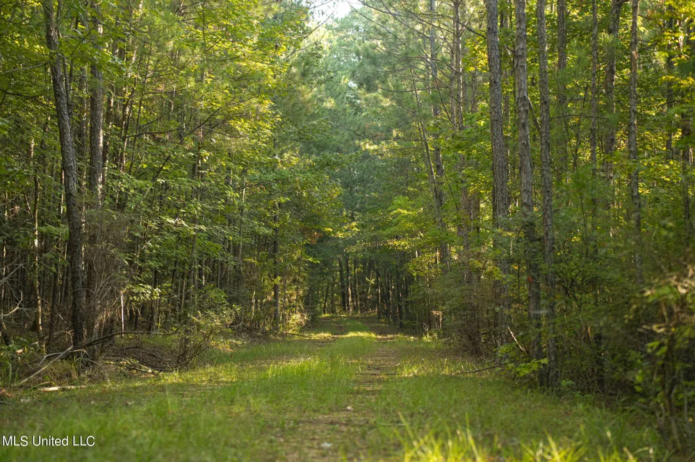 250 Rockwood Road Florence, MS 39073