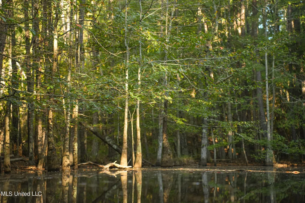 250 Rockwood Road Florence, MS 39073