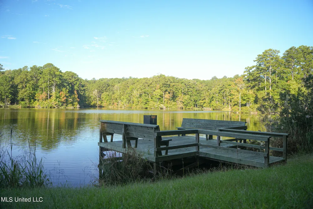 250 Rockwood Road Florence, MS 39073