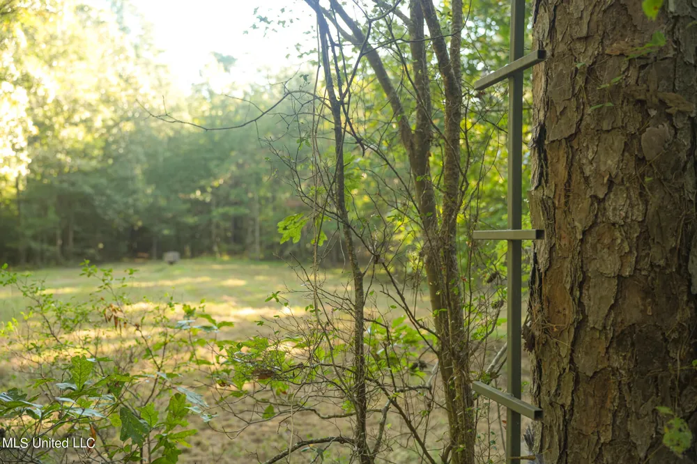 250 Rockwood Road Florence, MS 39073