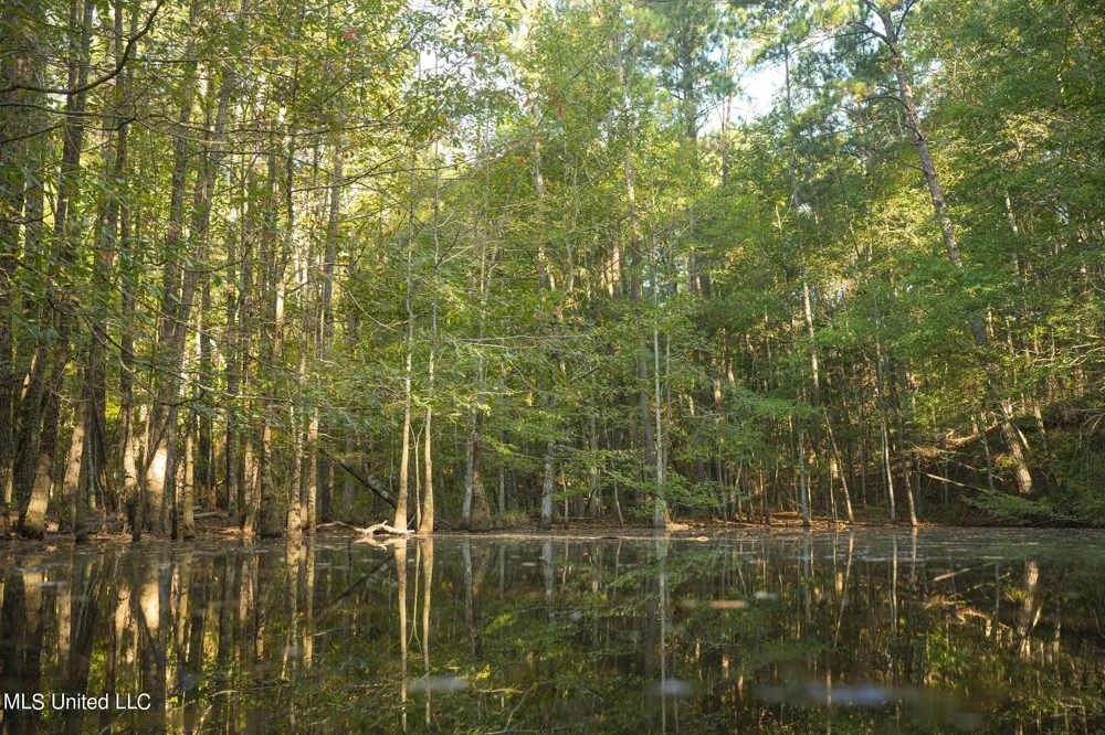 250 Rockwood Road Florence, MS 39073