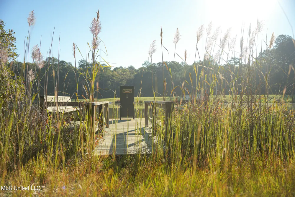 250 Rockwood Road Florence, MS 39073