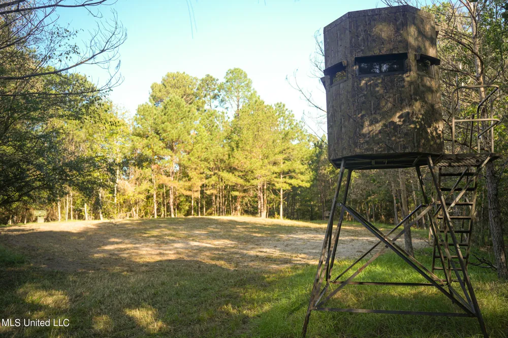250 Rockwood Road Florence, MS 39073