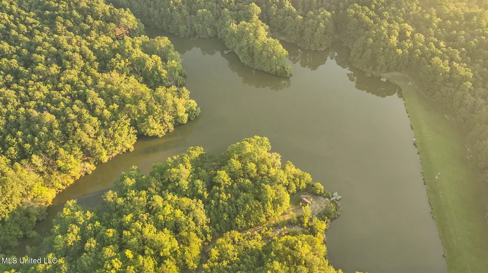 250 Rockwood Road Florence, MS 39073