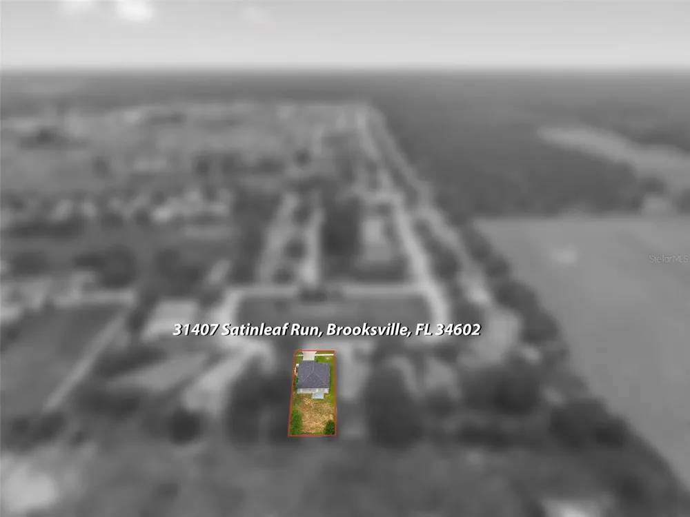 31407 SATINLEAF RUN Brooksville, FL 34602
