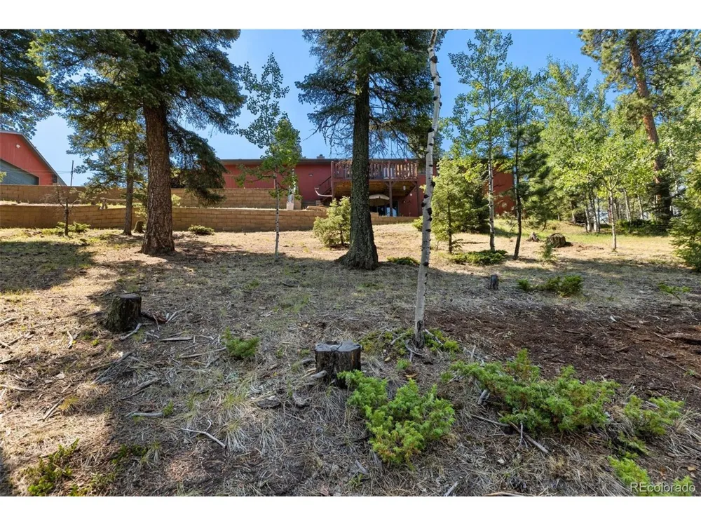 69 Cody Creek Trail Divide, CO 80814