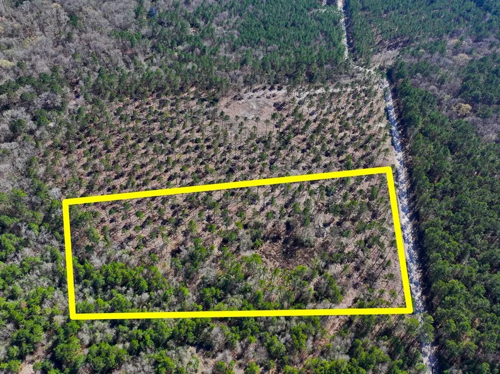 1 Boontown Road Trinity, TX 75845