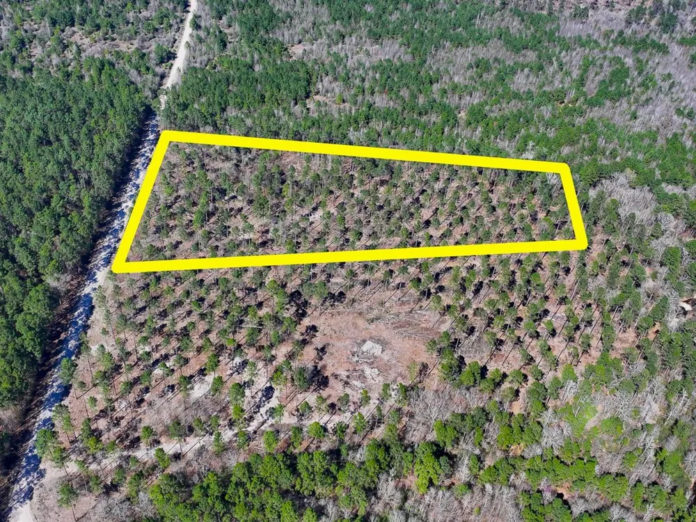 1 Boontown Road Trinity, TX 75845