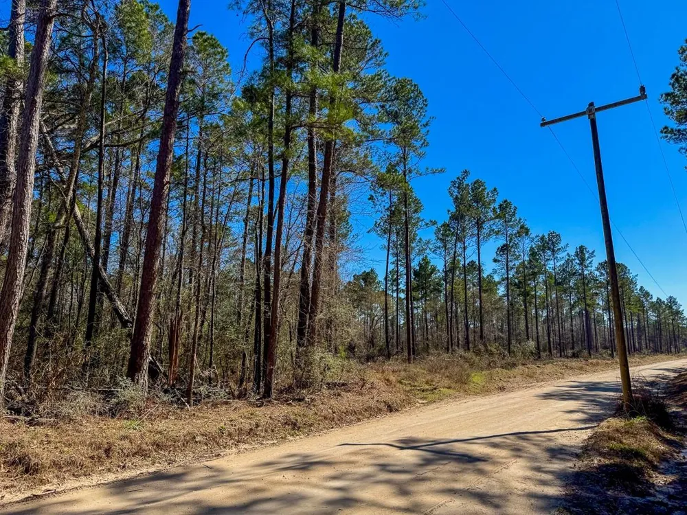 1 Boontown Road Trinity, TX 75845