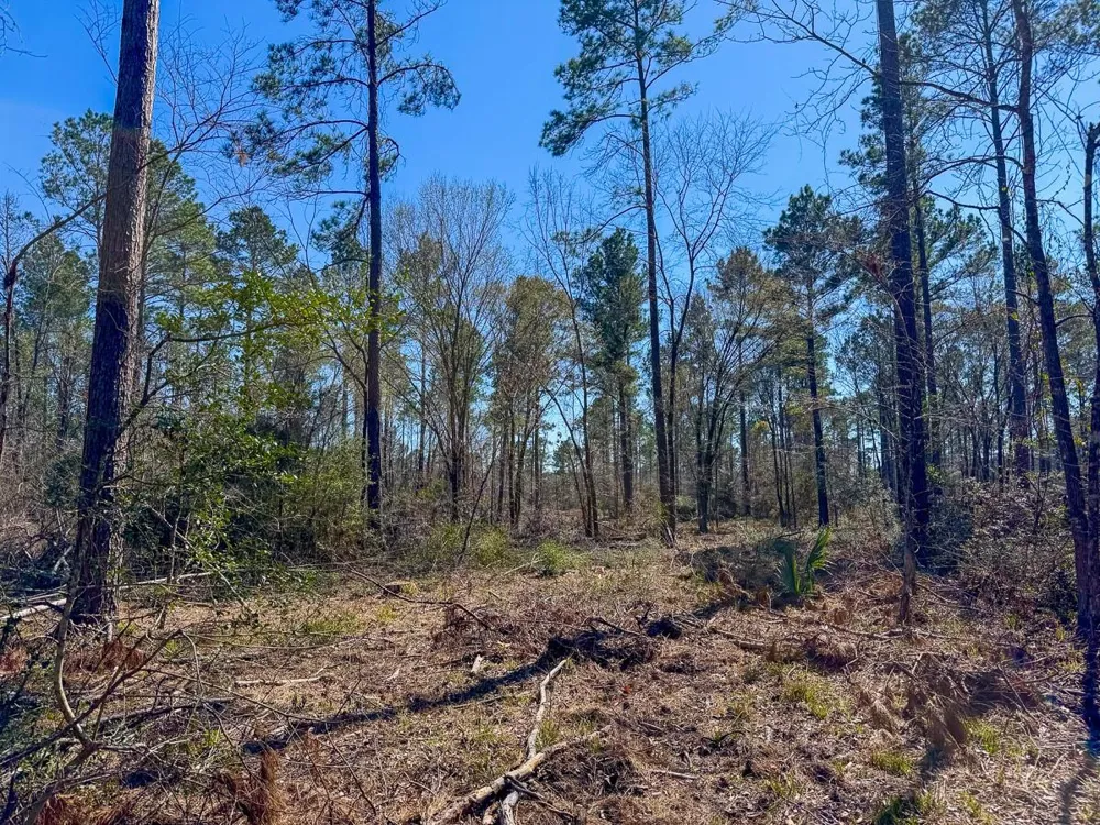 1 Boontown Road Trinity, TX 75845