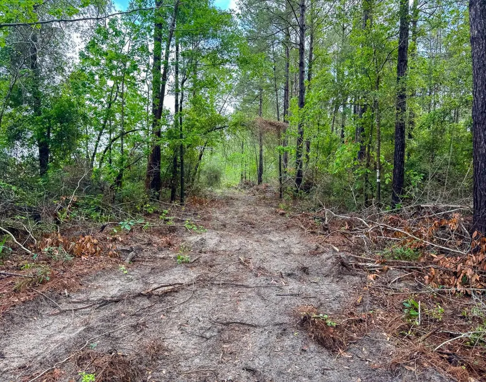 1 Benny Griffin Road Dallardsville, TX 77351