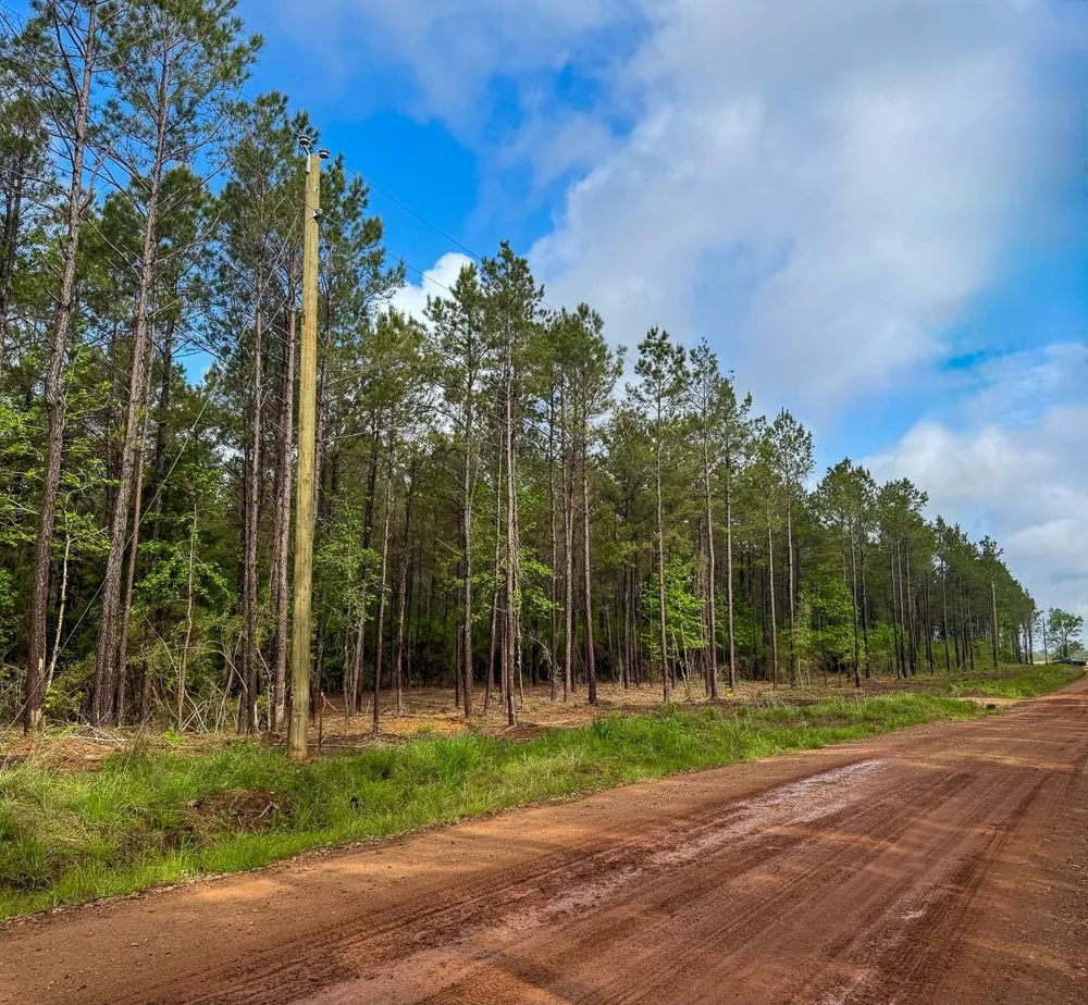 1 Benny Griffin Road Dallardsville, TX 77351