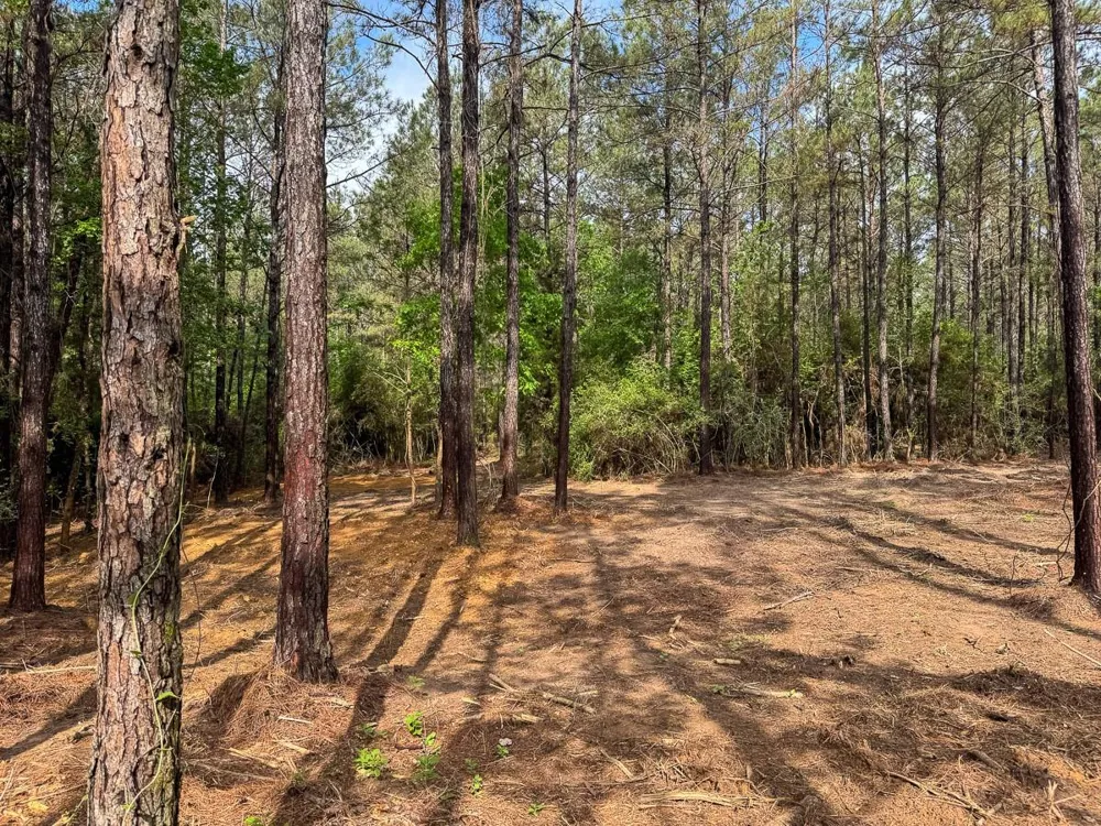 1 Benny Griffin Road Dallardsville, TX 77351