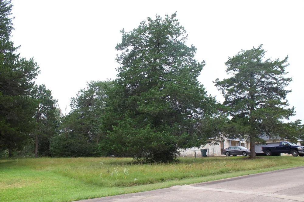 St Andrews Drive New Ulm, TX 78950