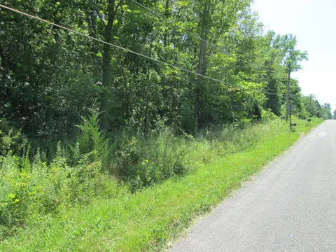 Flynn Road