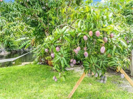 4151 19TH CT SW Naples, FL 34116