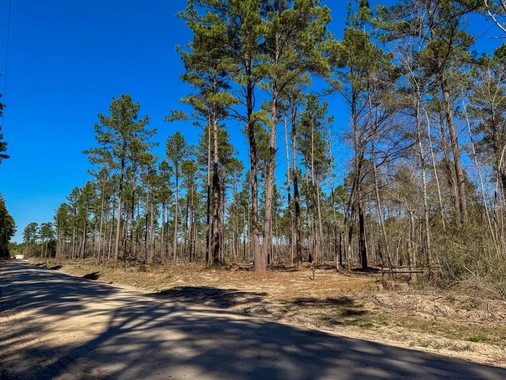 2 Boontown Road Trinity, TX 75845