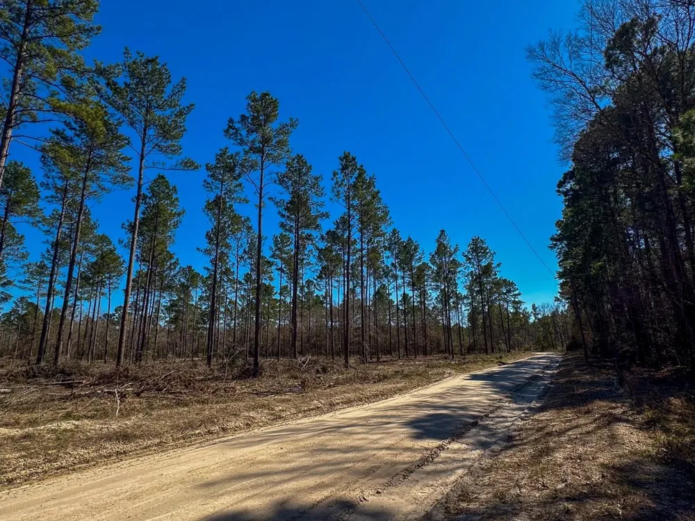 2 Boontown Road Trinity, TX 75845