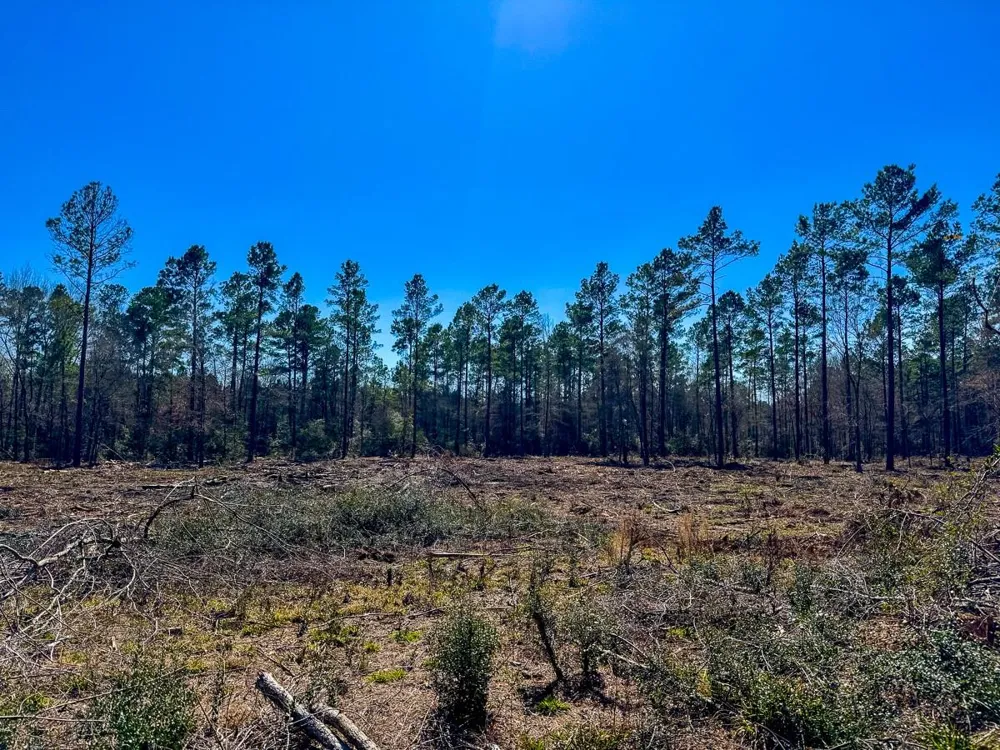 2 Boontown Road Trinity, TX 75845