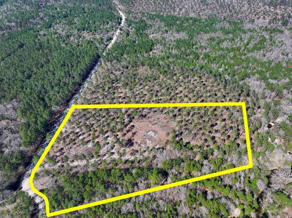 2 Boontown Road Trinity, TX 75845