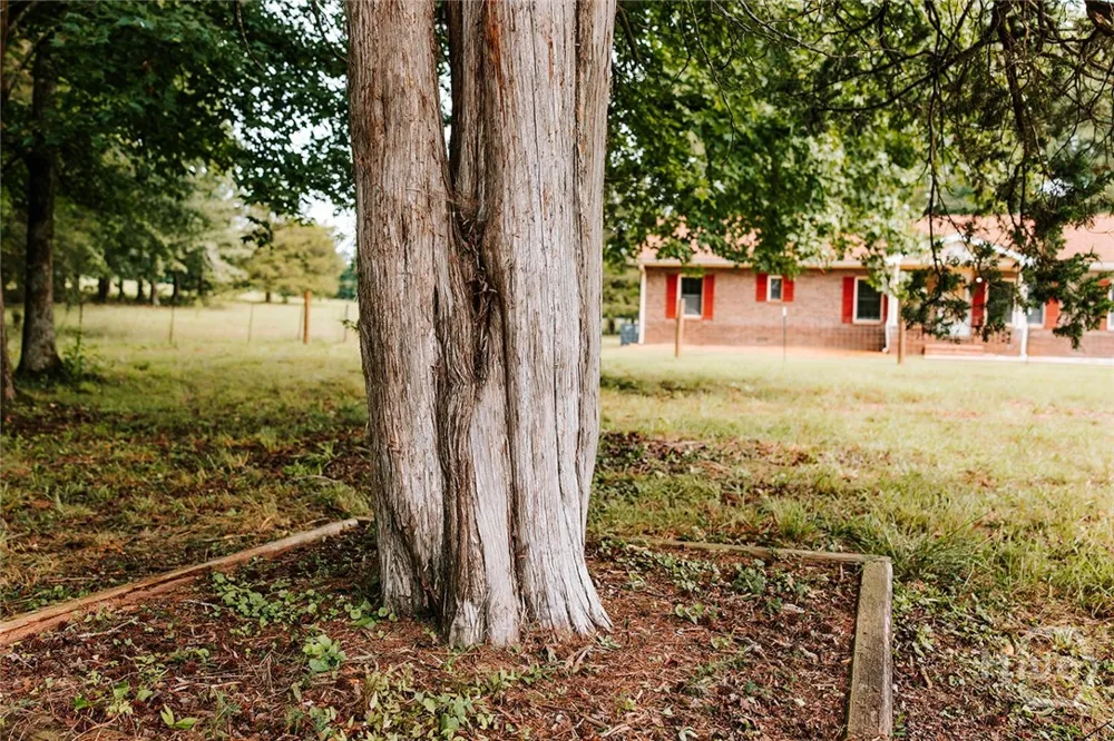 621 Elberton Road Lexington, GA 30648