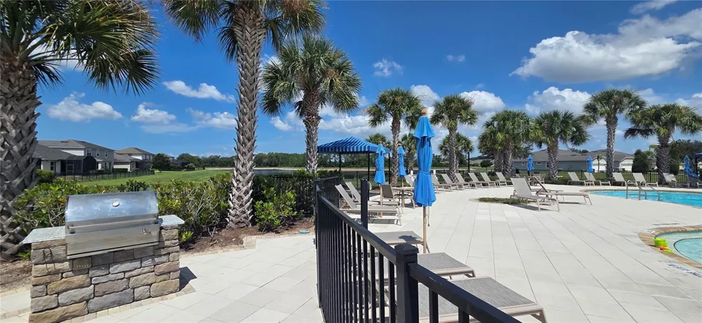 10322 HOLSTEIN EDGE PLACE Riverview, FL 33569