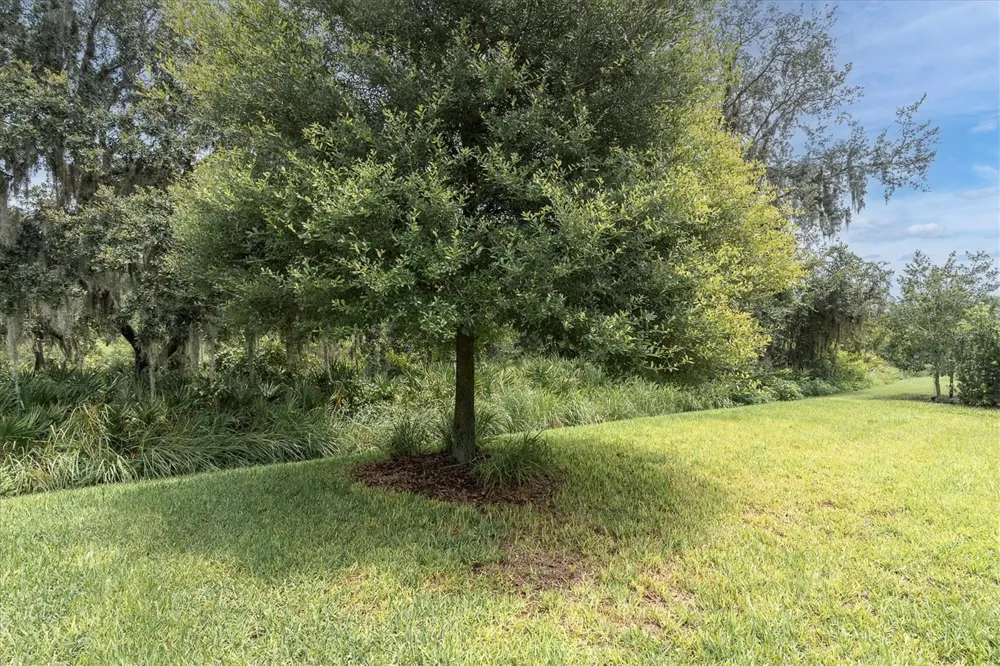 13709 STANSIL AVENUE Odessa, FL 33556