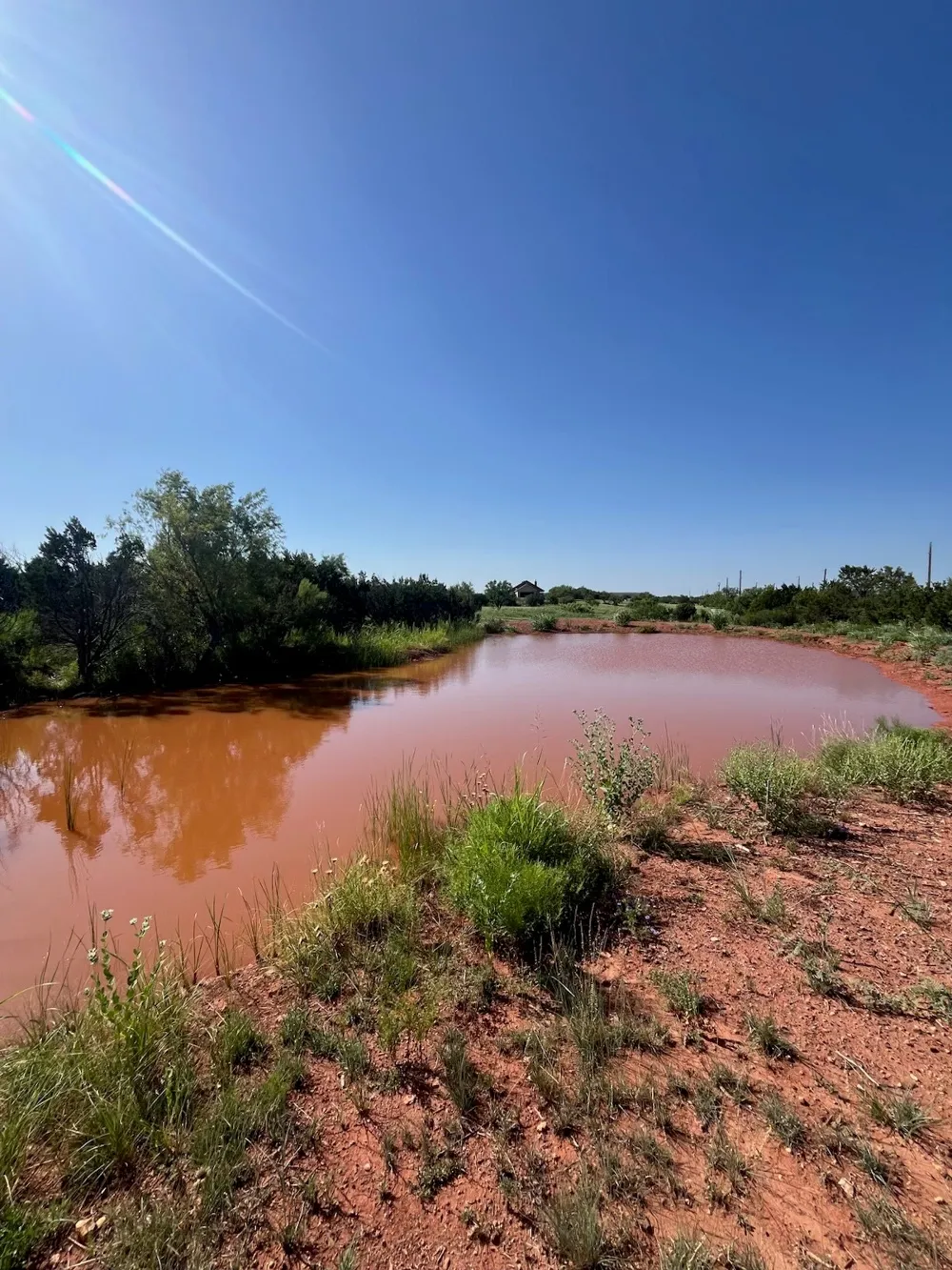 482 County Road 151 Tuscola, TX 79562