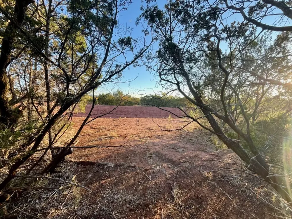 482 County Road 151 Tuscola, TX 79562