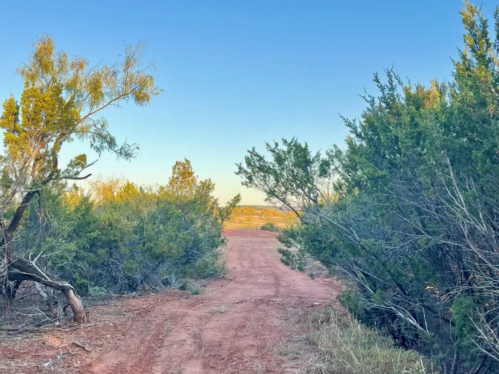 482 County Road 151 Tuscola, TX 79562