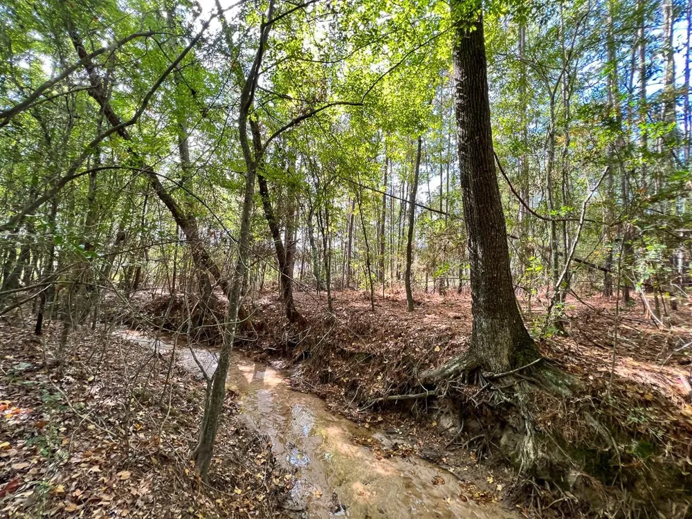 1 I-45 Frontage Road Huntsville, TX 77320