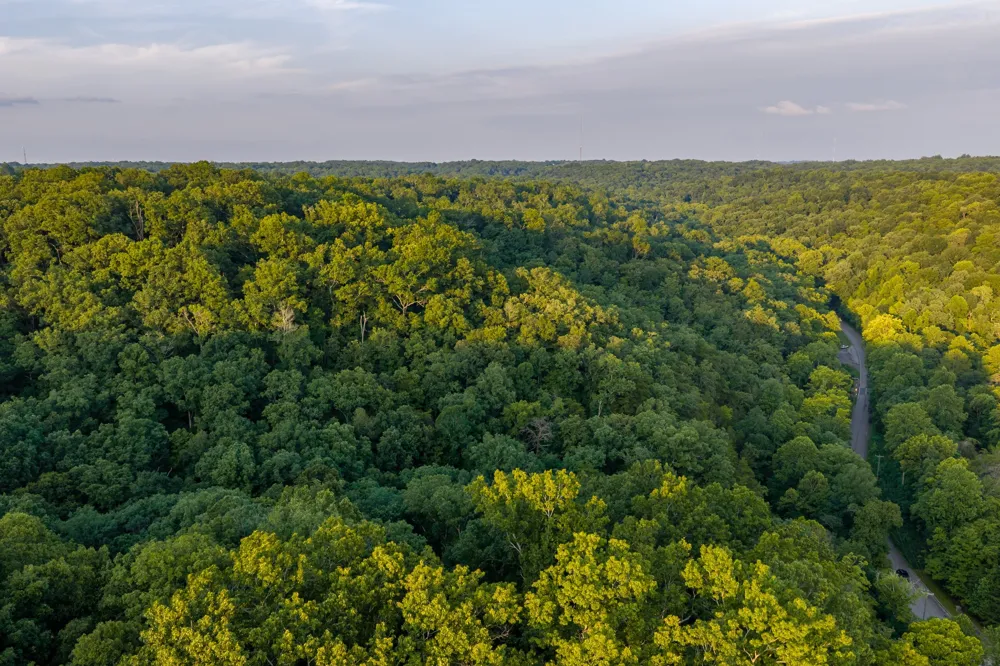 4074 Little Marrowbone Rd Joelton, TN 37080