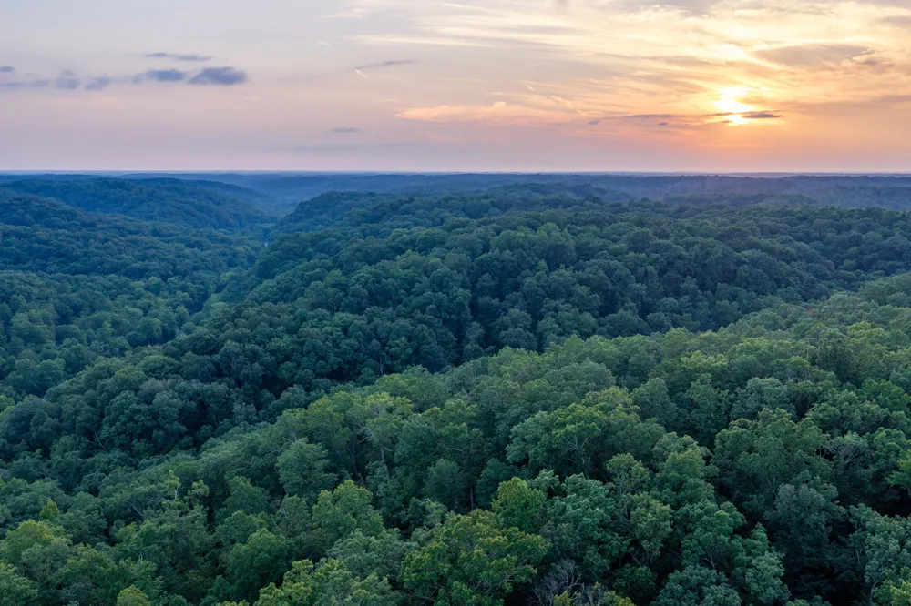 4074 Little Marrowbone Rd Joelton, TN 37080