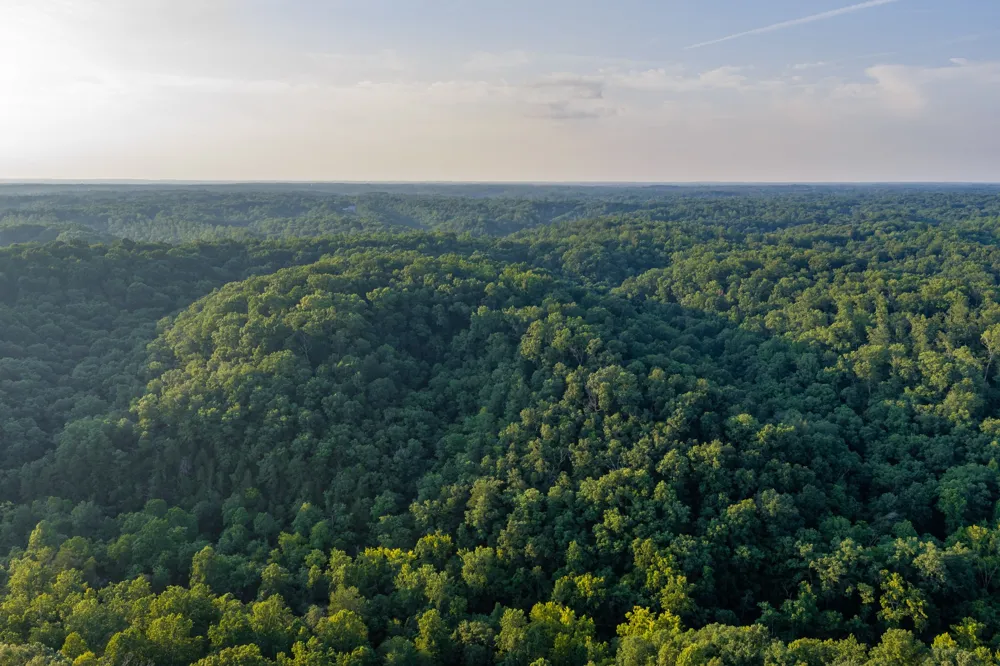 4074 Little Marrowbone Rd Joelton, TN 37080