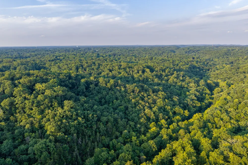 4074 Little Marrowbone Rd Joelton, TN 37080