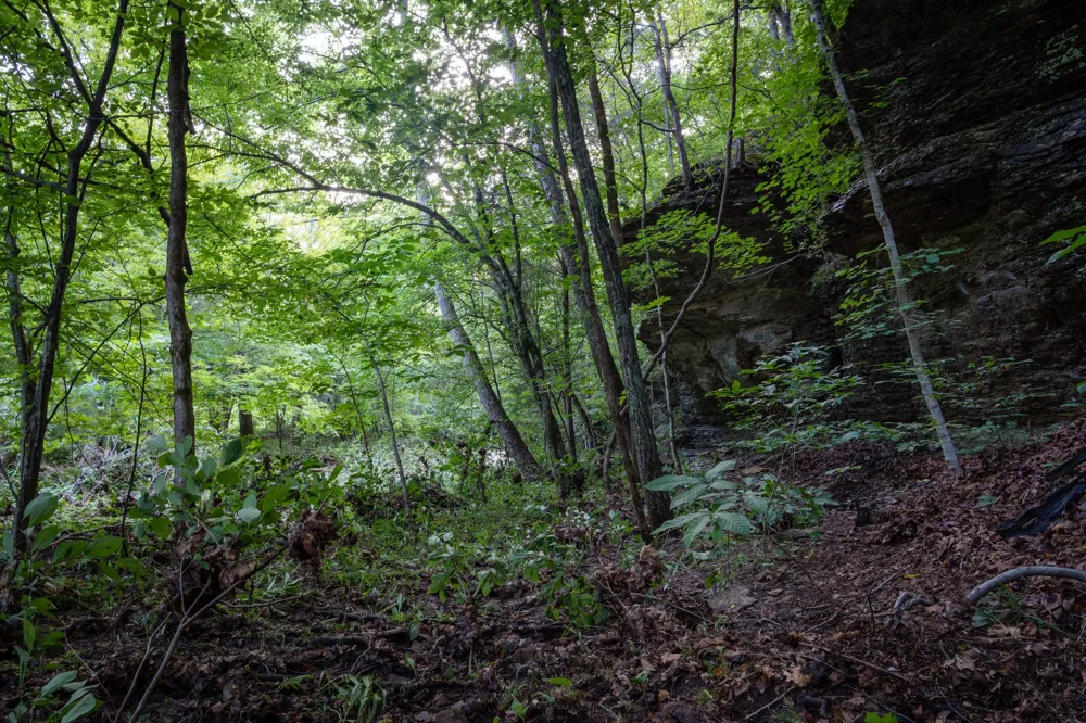 4074 Little Marrowbone Rd Joelton, TN 37080