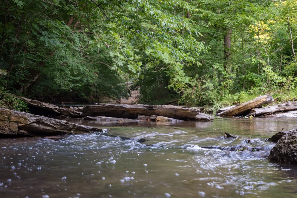 4074 Little Marrowbone Rd Joelton, TN 37080