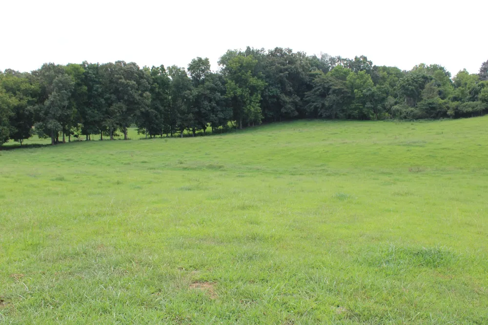 0 Depot Rd Rock Island, TN 38581