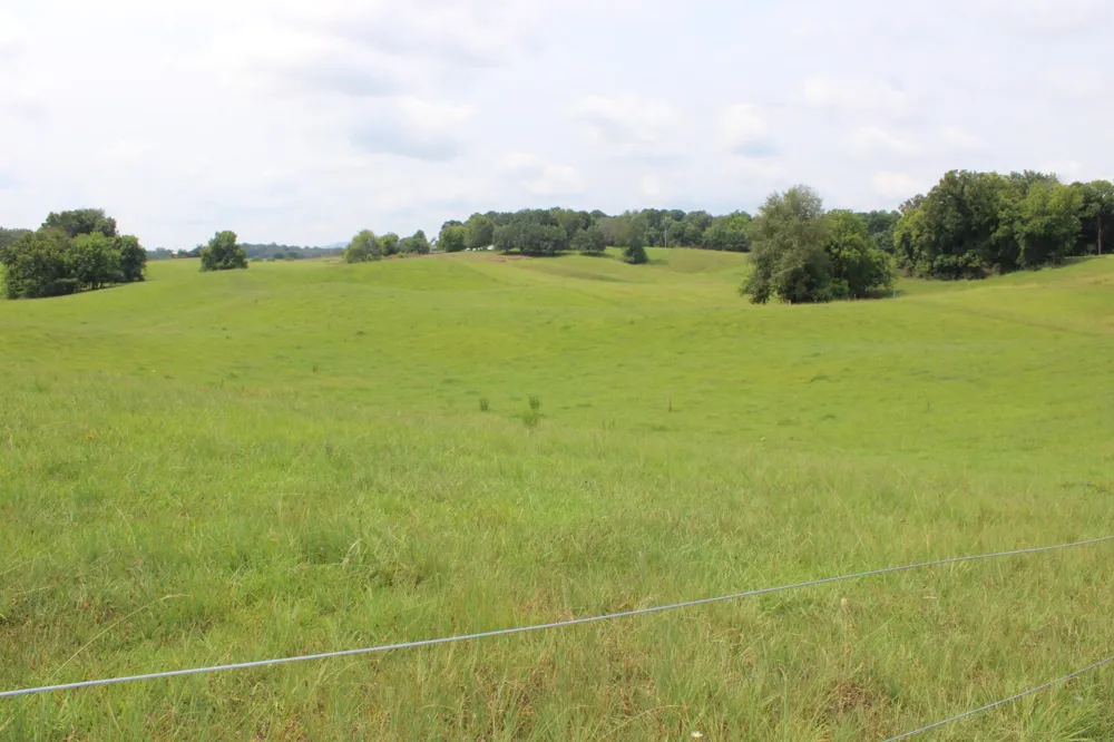 0 McGiboney Rd Rock Island, TN 38581