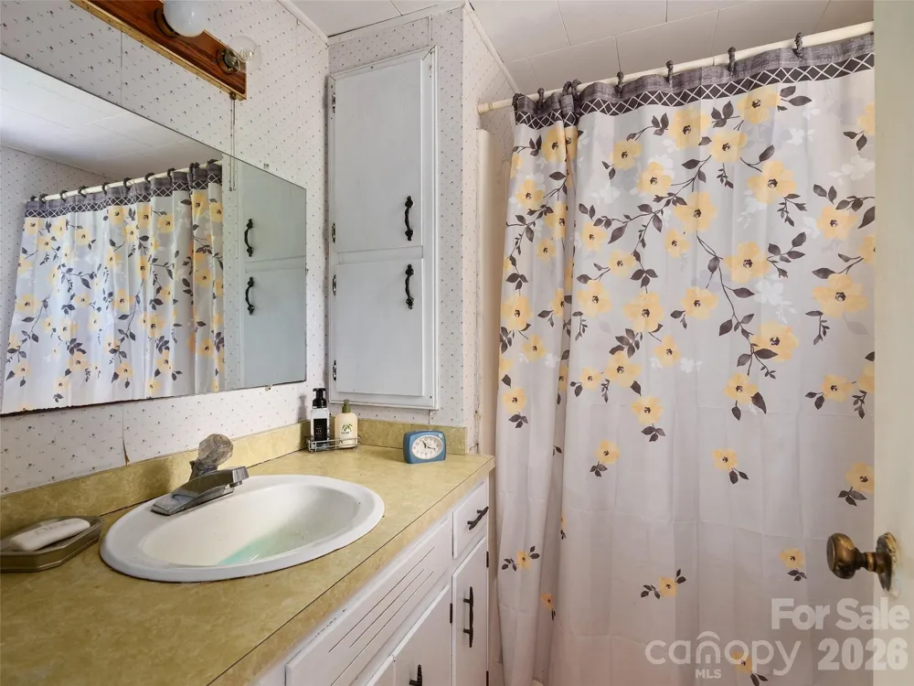 46 Trevor Court Clyde, NC 28721