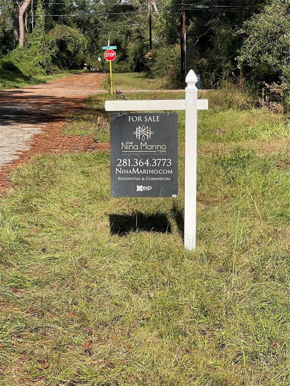 Overcup Drive Spring, TX 77389
