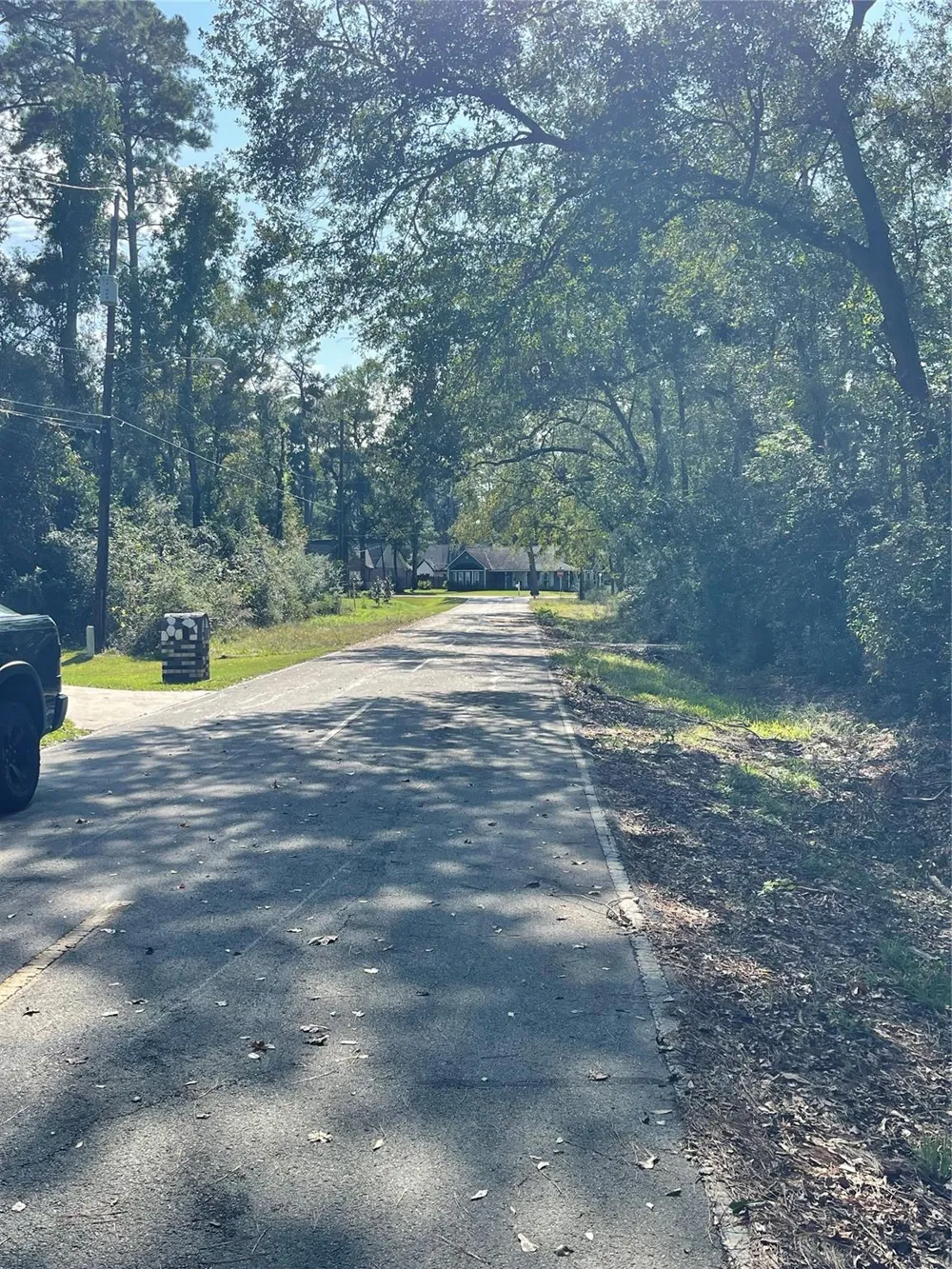 Overcup Drive Spring, TX 77389