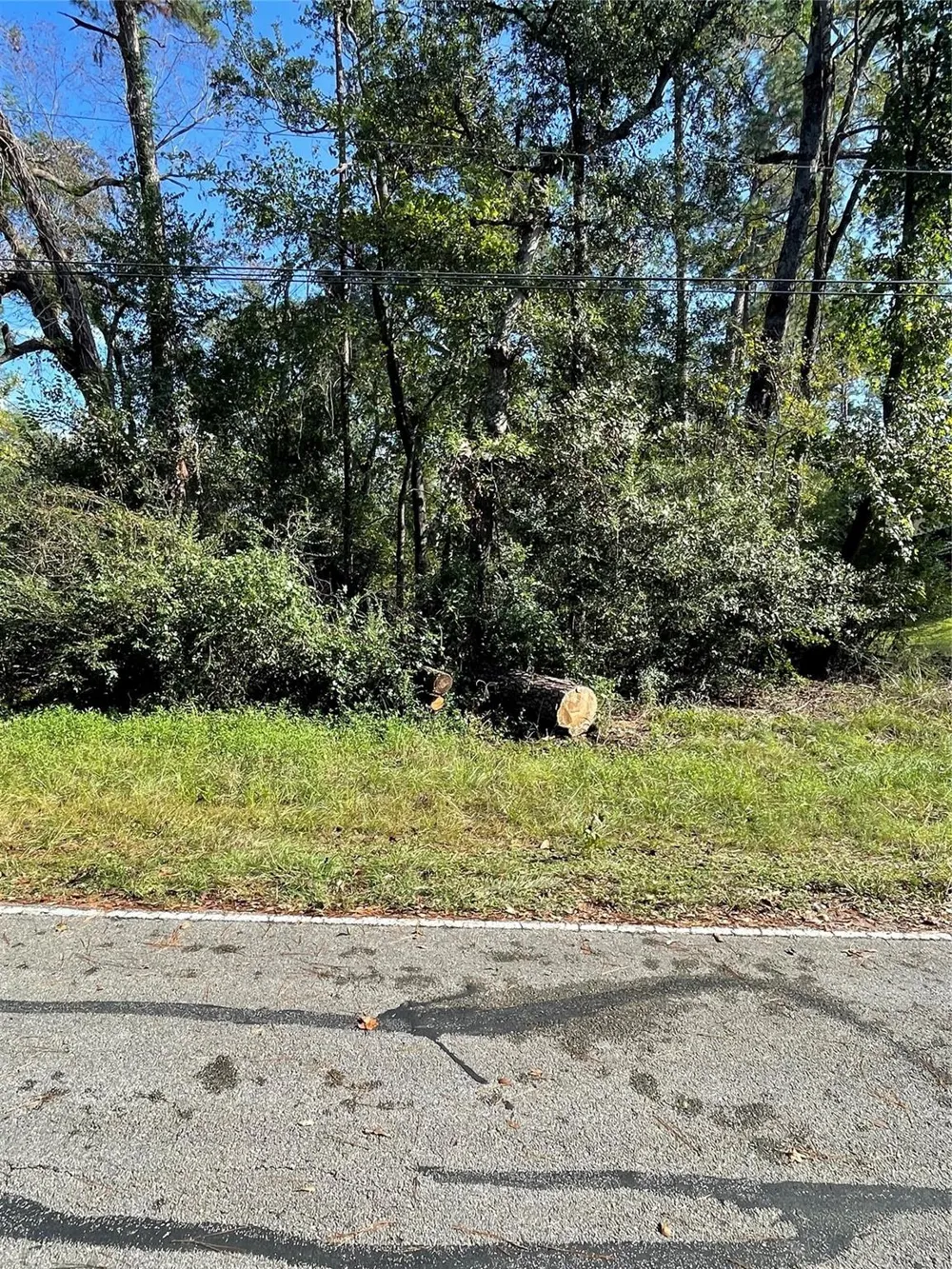 Overcup Drive Spring, TX 77389