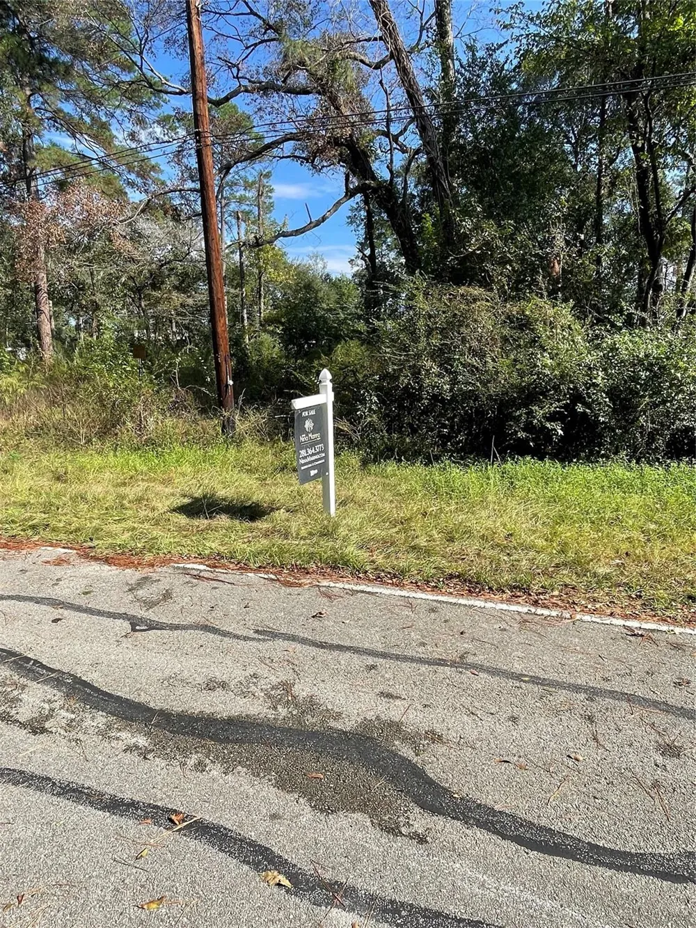 Overcup Drive Spring, TX 77389