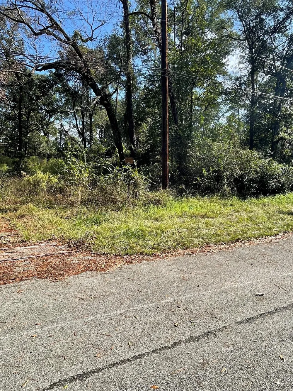 Overcup Drive Spring, TX 77389